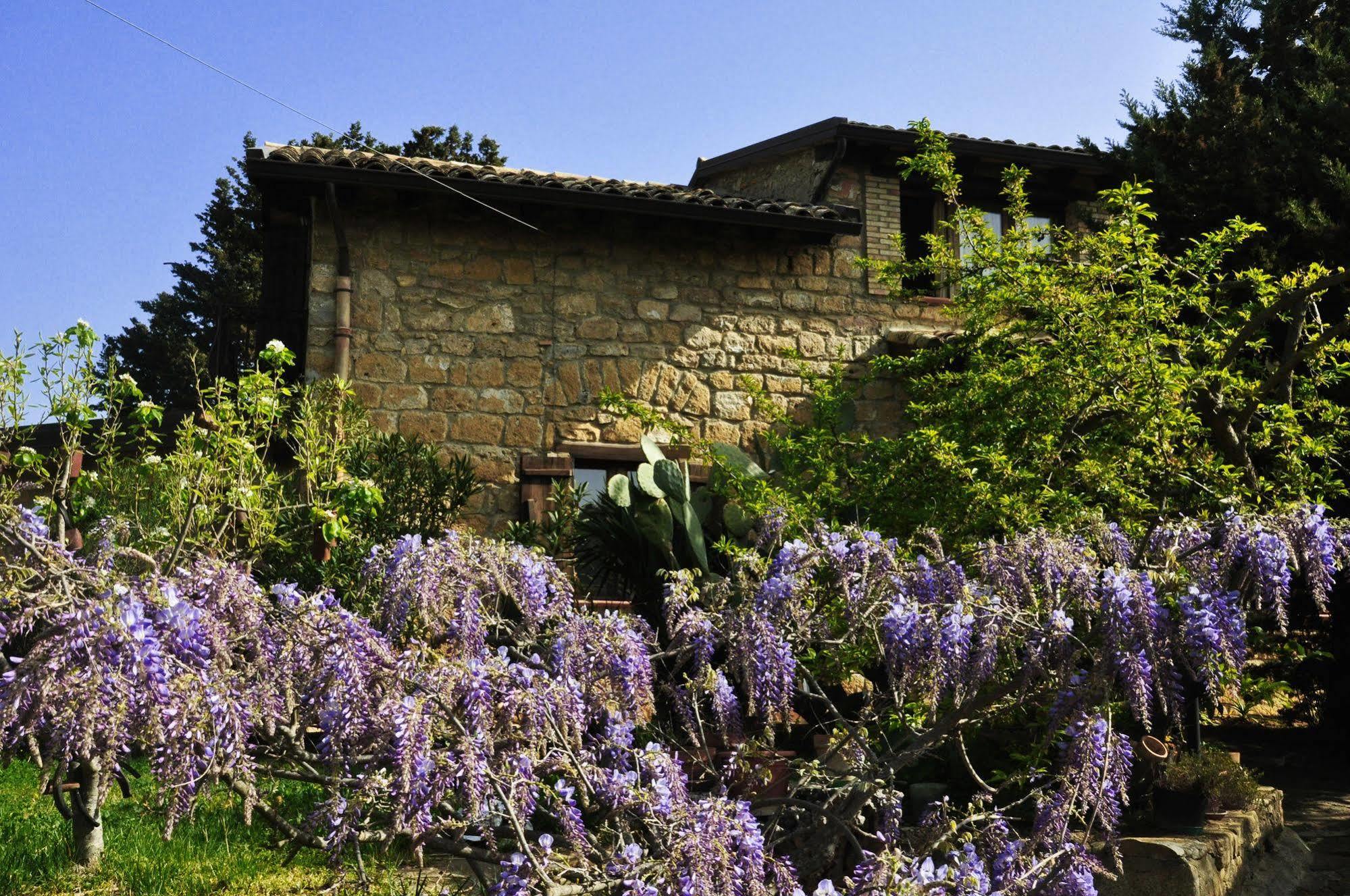 피아차암머리나 La Casa Sulla Collina D'Oro B&B 외부 사진